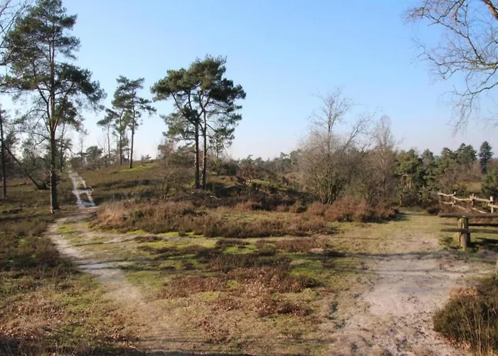 With Covered Terrace In The Leukermeer