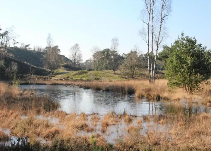 With Covered Terrace In The Leukermeer