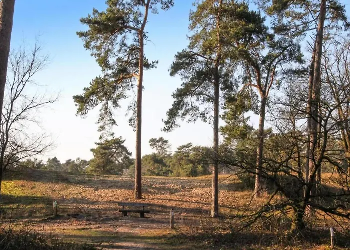 With Covered Terrace In The Leukermeer